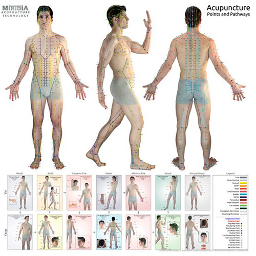 The Ultimate Acupuncture Wall Chart | Acu-Market