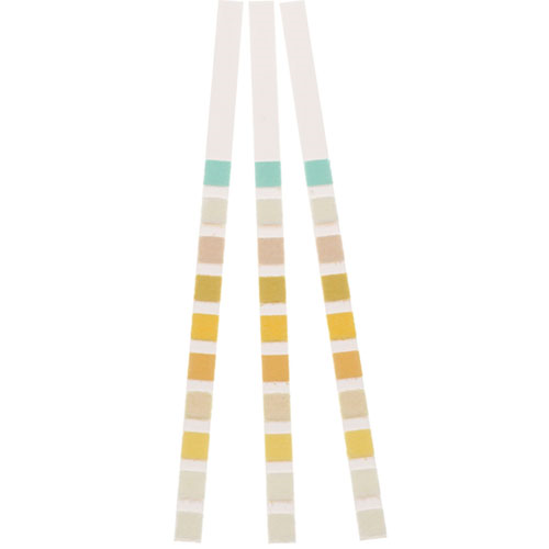 Urinalysis (Urine) Strips McKesson 100's