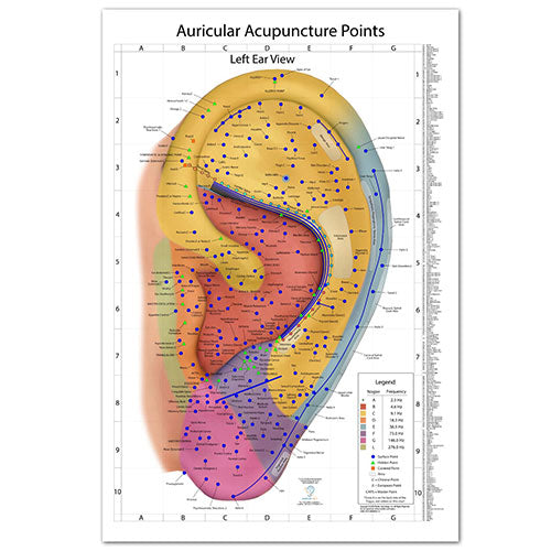 The World's Best Auriculotherapy Wall Chart