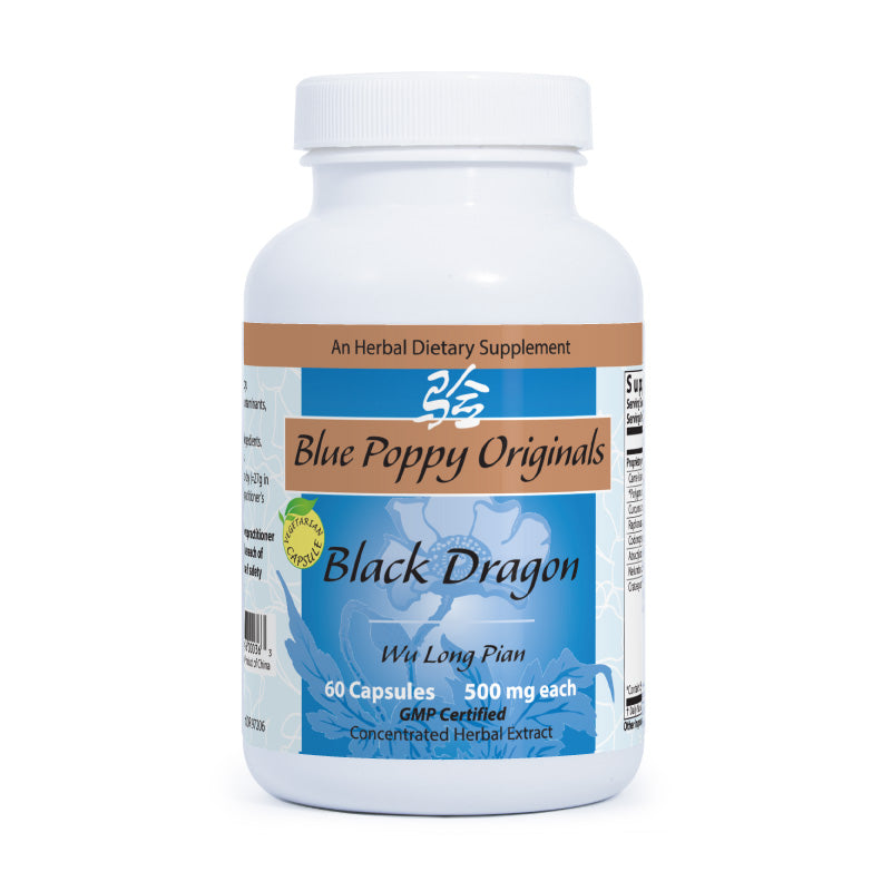 Black Dragon by Blue Poppy