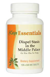 Dispel Stasis in the Middle Palace by Kan