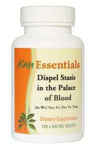 Dispel Stasis in Palace of Blood by Kan