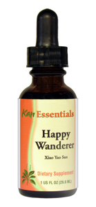 Happy Wanderer by Kan