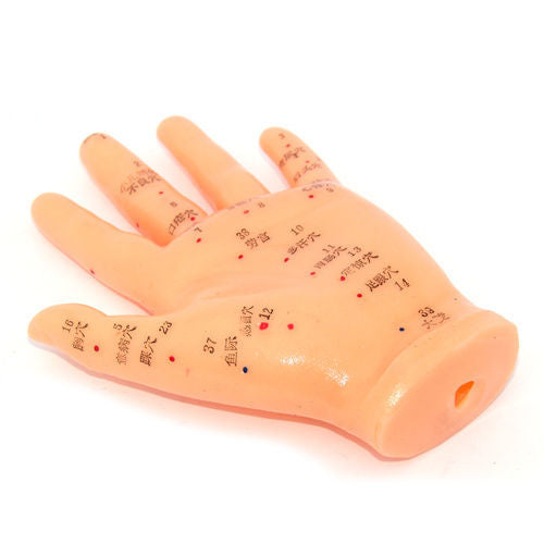 Hand Model 5 (13cm)