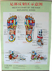 Chart, Foot - color with book