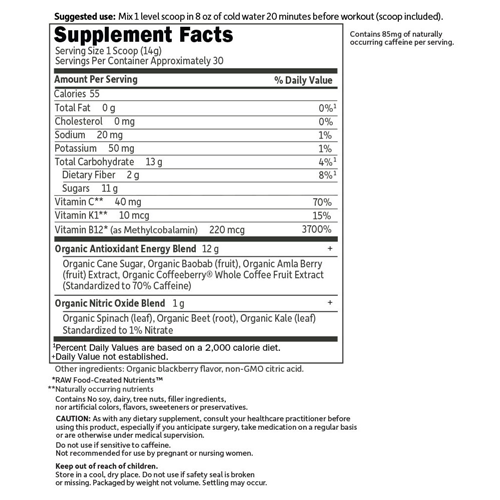 Sport Organic Energy & Focus (Blackberry) 432g by GoL