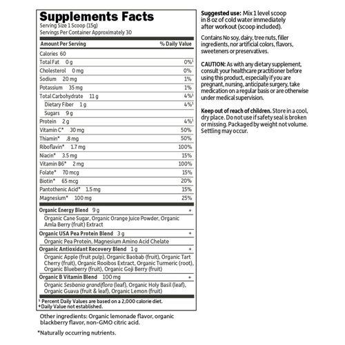Sport Organic Recovery (Blackberry Lemonade) 446g by GoL