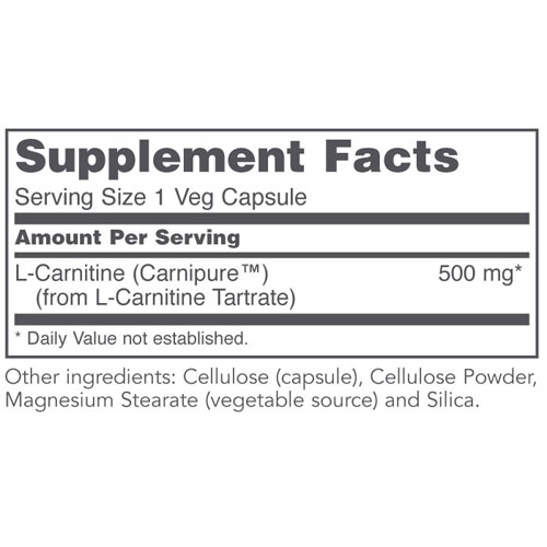 L-Carnitine (500mg) 60 caps by Protocol
