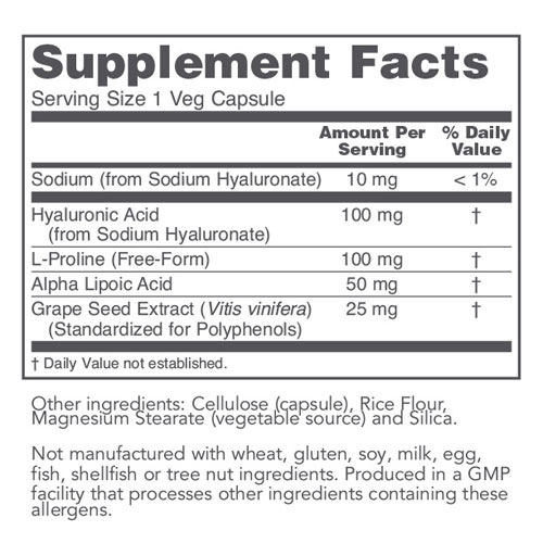 Hyaluronic Acid (100mg) 60 caps by Protocol