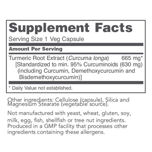 Curcumin Turmeric Root Extract (665mg) 60 caps by Protocol