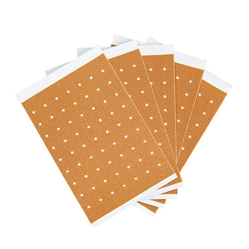 Tianhe Zhuanggu Gao Pain Relieving Plaster (10 Plasters)