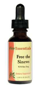 Free the Sinews by Kan
