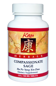 Compassionate Sage by Kan