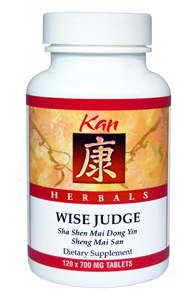 Wise Judge by Kan