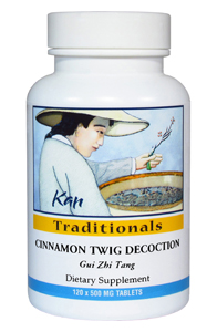 Cinnamon Twig Decoction by Kan