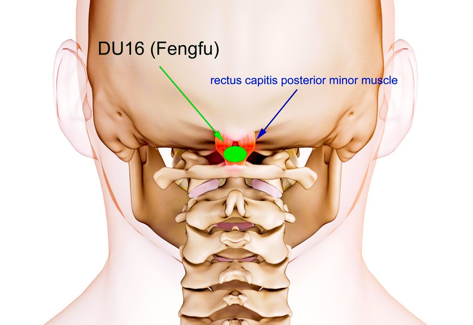 Acupuncture For Long COVID & Headaches 7-12-26