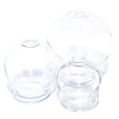 Picture of Glass Cups                                                  