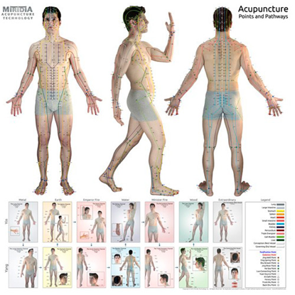 Picture of The Ultimate Acupuncture Wall Chart